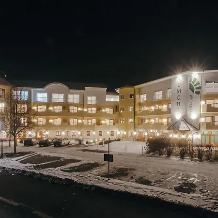 Hotel Wellnesshotel Aumuehle 4*